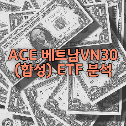 ACE 베트남VN30