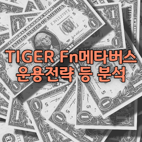 TIGER Fn메타버스