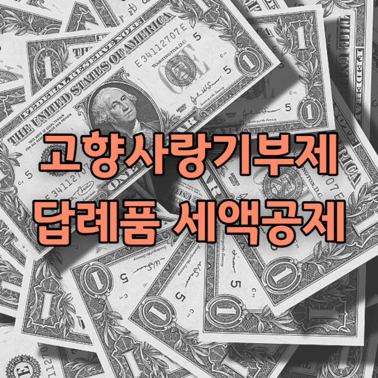고향사랑기부제