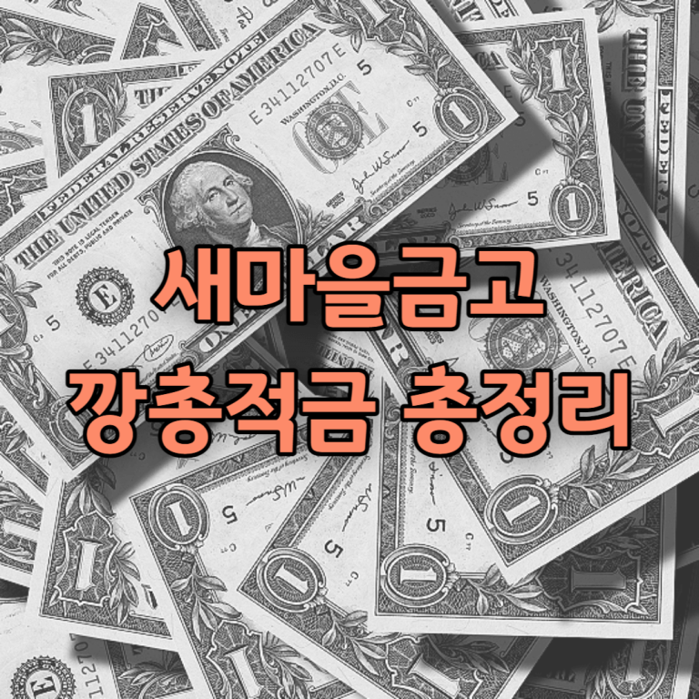 새마을금고 깡총적금