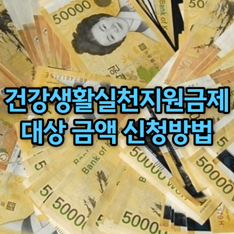 건강생활실천지원금제