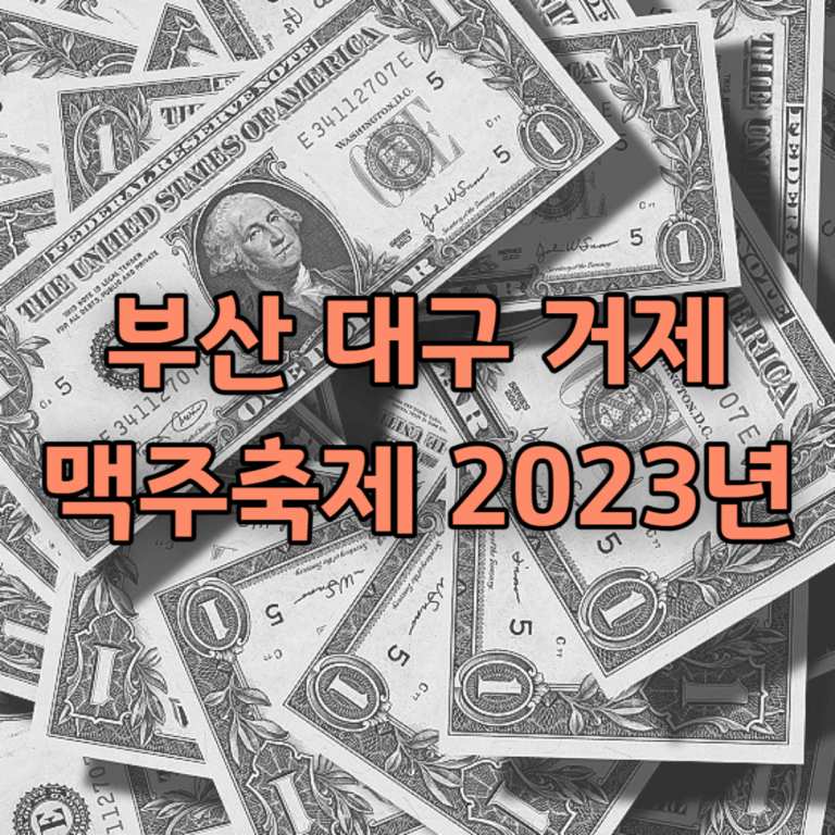 부산 대구 거제 맥주축제