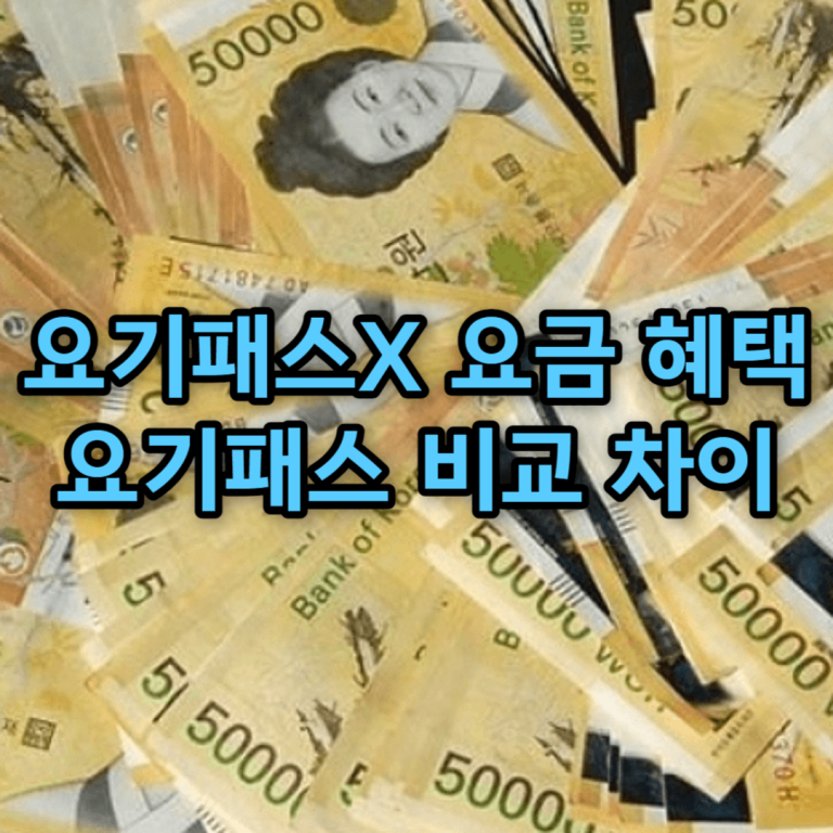요기패스X