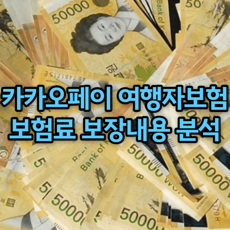 카카오페이 여행자보험