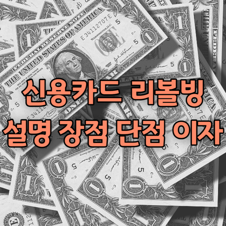 신용카드 리볼빙 서비스