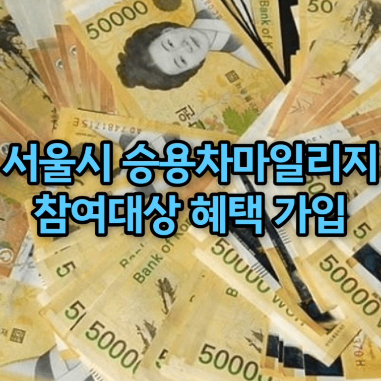 서울시 승용차마일리지