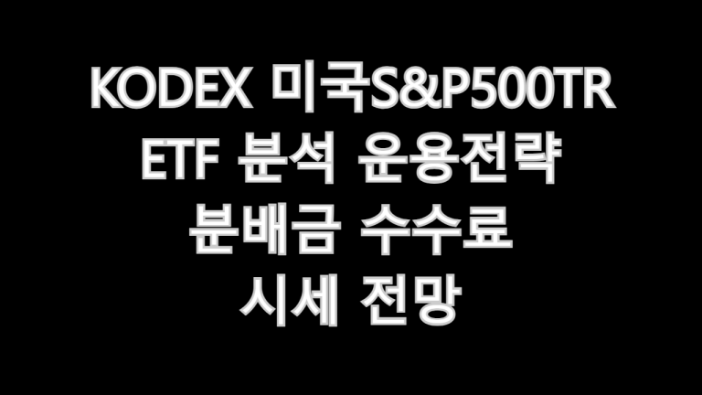 KODEX 미국S&P500TR