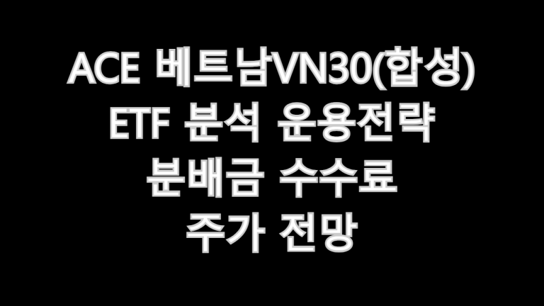 ACE 베트남VN30(합성)