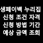 상생페이백