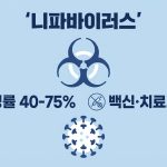 니파바이러스