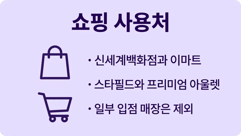 쇼핑 사용처