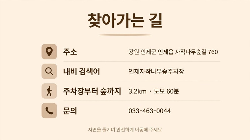 인제 자작나무숲 위치와 찾아가는 길