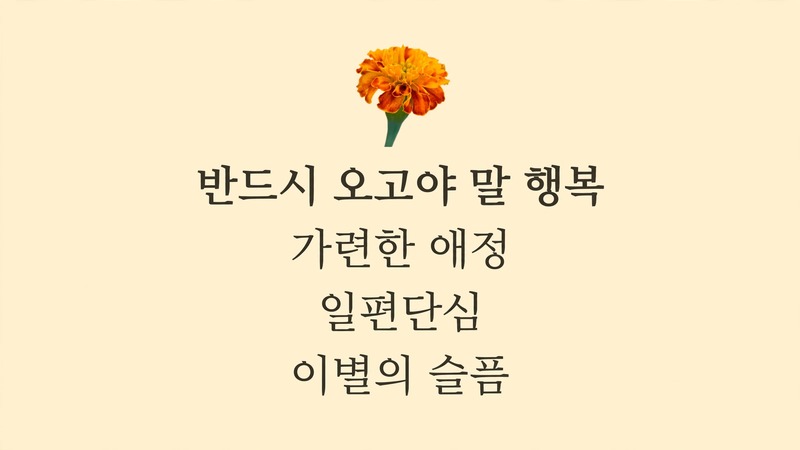 메리골드 대표 꽃말