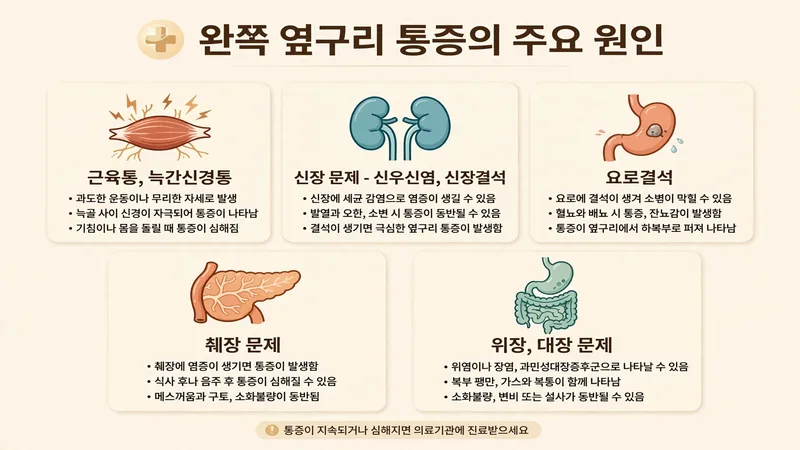 왼쪽 옆구리 통증의 주요 원인