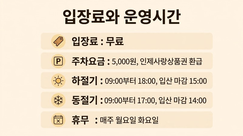 인제 자작나무숲 입장료와 운영시간
