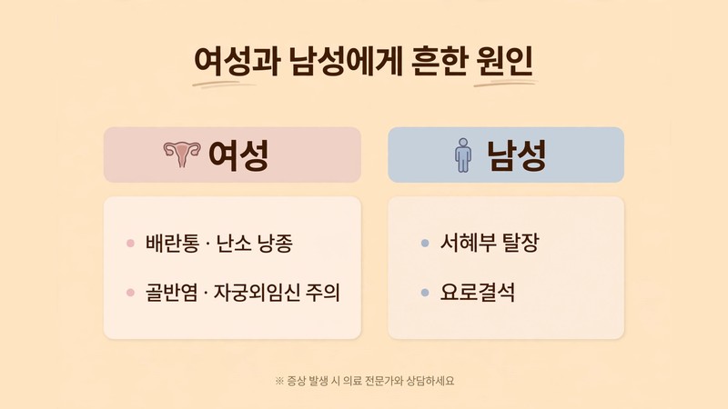 여성과 남성에게 흔한 원인