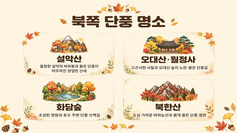 북쪽 단풍 명소, 설악산 오대산 화담숲 북한산