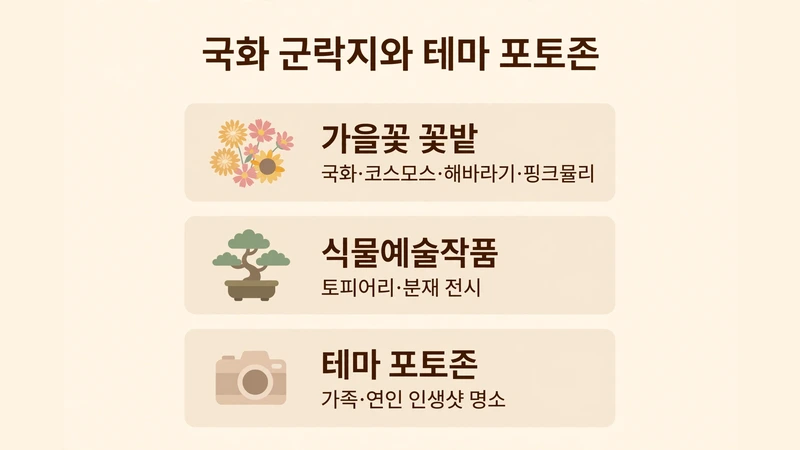 국화 군락지와 테마 포토존 안내