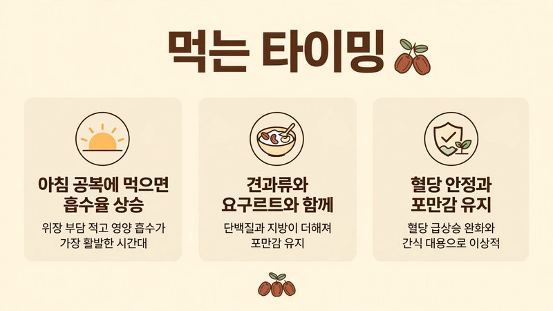 면역력과 피로 회복에 좋은 먹는 타이밍