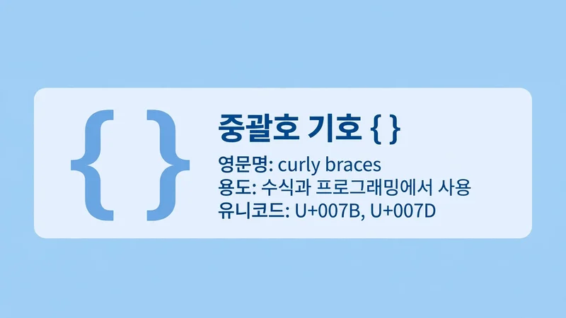 중괄호 기호