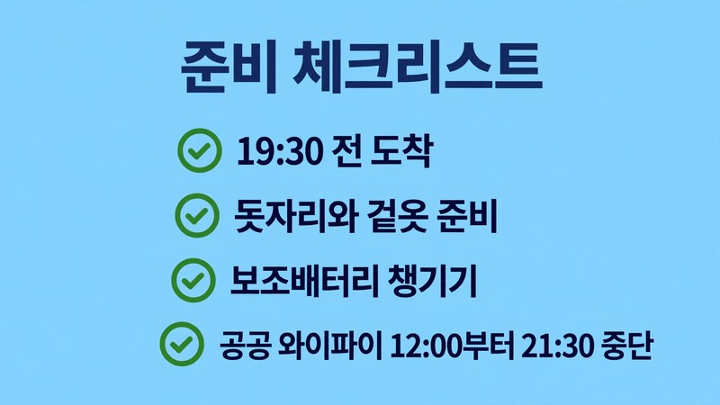 한강 드론쇼 관람 준비 체크리스트