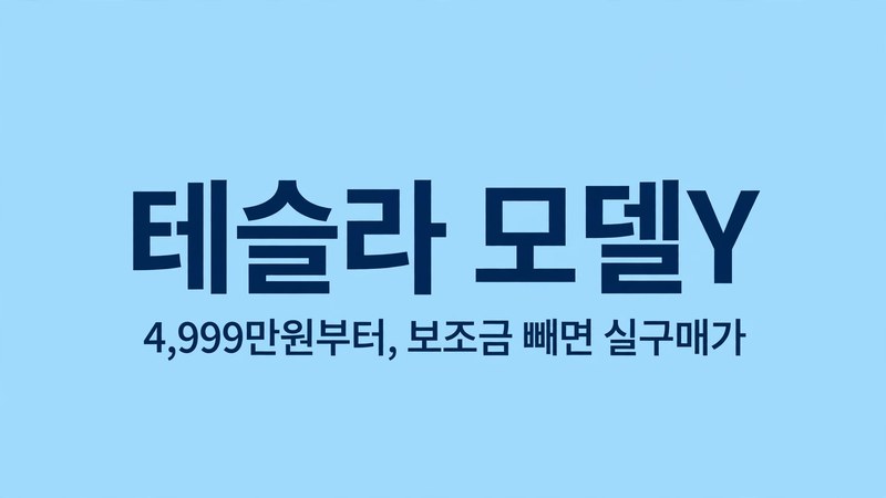 테슬라 모델Y 가격 보조금 정리