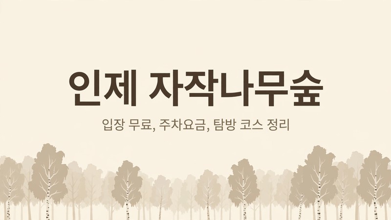 인제 자작나무숲 안내