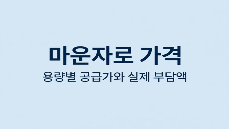 마운자로 가격