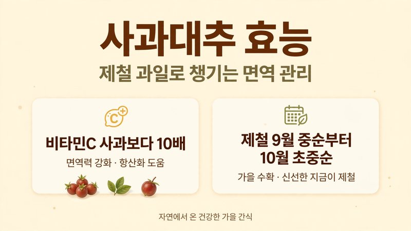 사과대추 효능 대표 이미지