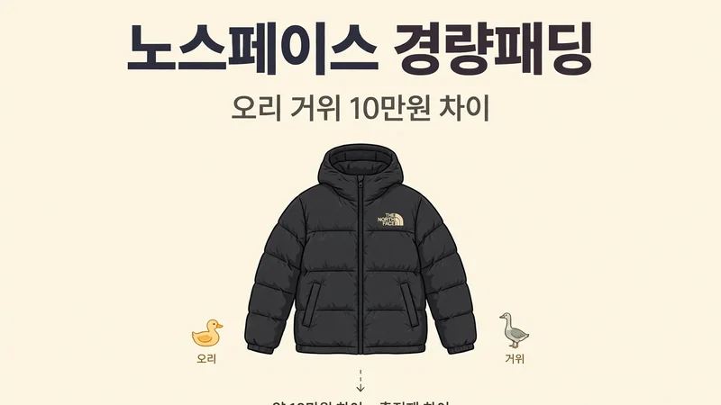 노스페이스 경량패딩, 오리 거위 10만원 차이