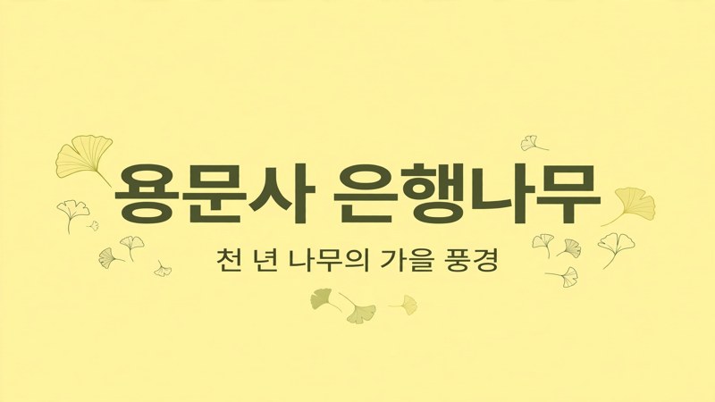 용문사 은행나무 천 년 나무의 가을 풍경