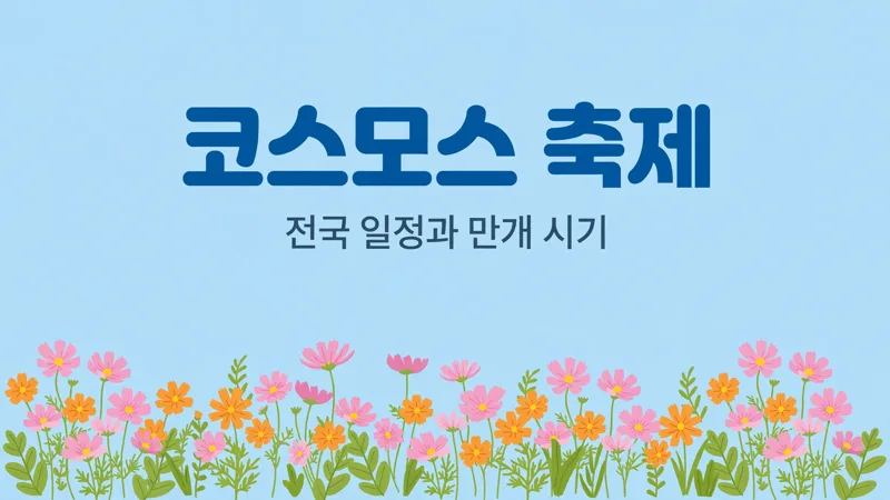 코스모스 축제