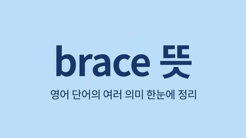 brace 뜻